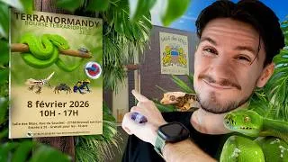 Miniature : Bienvenue, à la BOURSE TERRARIOPHILE TERRANORMANDY ! (Une première édition incroyable)