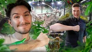 Miniature : Je visite LA PIÈCE TROPICALE de LOMA WILD ! (Des installations à couper le souffle)