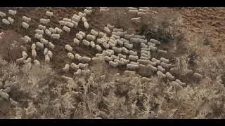 Miniature : TONIK WOOL PART 1