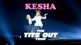 Miniature : 09/03/2026 - Kesha - The Tits Out Tour au Lotto Arena d'Anvers