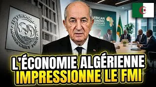 Miniature : Ce que le FMI dit sur l'Algérie