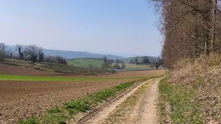 Miniature : Mini-vlog : marche en Allemagne et repas de fruits + salade