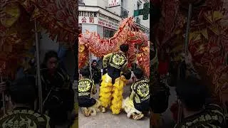 Miniature : Danse du dragon 🐉 Paris 2026 | Le spectacle qui fascine les foules