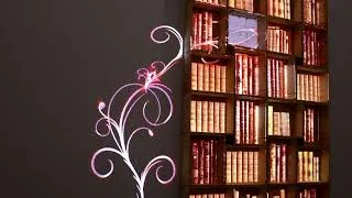 Miniature : Mapping Vidéo Objet #4 - Bibliothèque