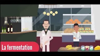 Miniature : La Fermentation : L'agent Secret de la Transformation Alimentaire
