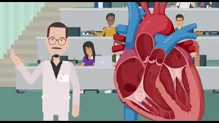 Miniature : Le système cardiovasculaire: fonctionnement du cœur par Dr-Sci