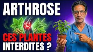 Miniature : Ces plantes ancestrales soulagent l'arthrose mieux que certains médicaments