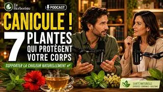 Miniature : Comment Supporter la Canicule ? Les 7 Plantes les Plus Utiles !