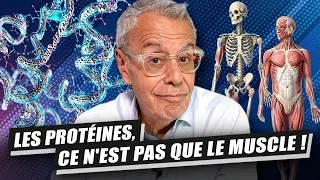 Miniature : Trop de protéines ? Voici enfin les bonnes quantités pour toutes et tous