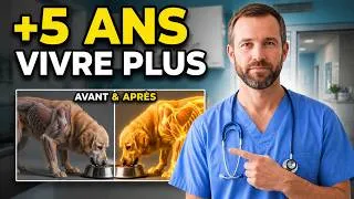 Miniature : Si vous voulez passer plus d'années avec votre chien, mettez CECI dans sa gamelle