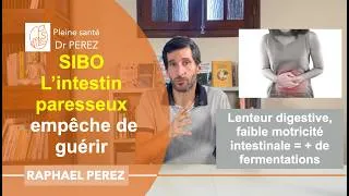 Miniature : SIBO : Le manque de motricité intestinale favorise la colonisation bactérienne et les fermentations