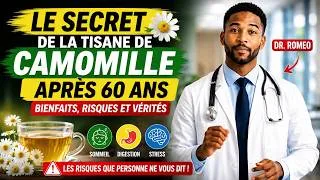 Miniature : Le SECRET de la TISANE de CAMOMILLE Après 60 Ans : Bienfaits, Risques et Ce Que les Médecins Savent