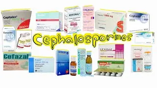 Miniature : Céphalosporinesشرح مبسط و شامل لكل أدوية