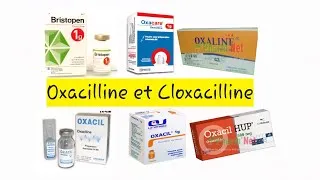 Miniature : Oxacilline et Cloxacilline