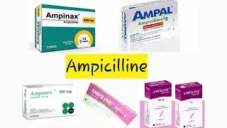 Miniature : أمبيسيلين /Ampicilline شرح مبسط و شامل