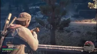 Miniature : Days Gone masacre de masacre 2