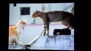 Miniature : Essayez de ne pas rire  1
