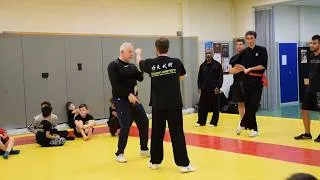 Miniature : Quelques Enseignements du Wushu