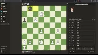 Miniature : Chess : Notre revanche contre Elani !