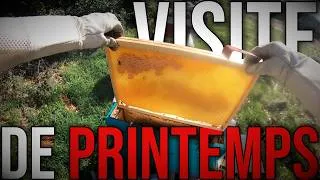 Miniature : Ma Première visite de printemps des Ruches DRAKOV, Spoiler : Y'as de la casse (Vidéo Bonus)