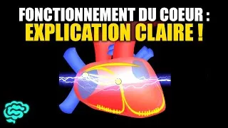 Miniature : 🔴 La Physiologie Cardiaque Expliquée Très Clairement par Dr Astuce