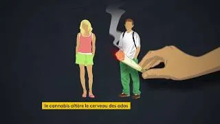 Miniature : Le cannabis altère le cerveau de nos ados