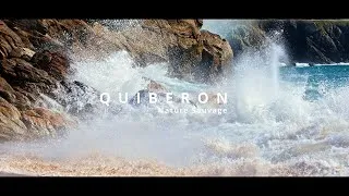 Miniature : Quiberon   Nature sauvage   Drawn'Artis