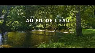 Miniature : L'automne au fil de l'eau