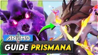 Miniature : COMMENT avoir TOUS les PRISMANA ! 💎 MEILLEURES MÉTHODES | ANIIMO