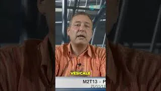 Miniature : Diagnostic Hypopathique : Tests Musculaires et Pouls Chinois Révélés