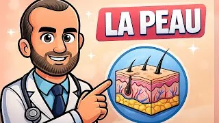 Miniature : La Peau : TOUT COMPRENDRE