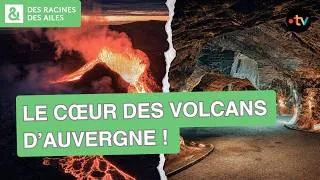 Miniature : Une découverte extraordinaire dans les volcans d’Auvergne ! | Documentaire | France TV