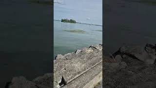 Miniature : Voici une vidéo de moi au bord de l'eau 