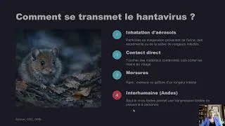Miniature : Hantavirus, ce qu'il faut savoir