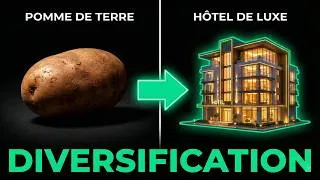 Miniature : EOAE 2 Bac SE & SGC : La Stratégie de Diversification (Résumé Facile + Exemples)