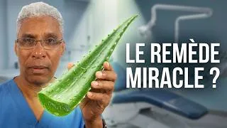 Miniature : Aloe Vera  Le remède miracle pour vos gencives en 2026