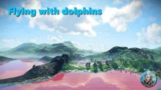 Miniature : Flying with dolphins