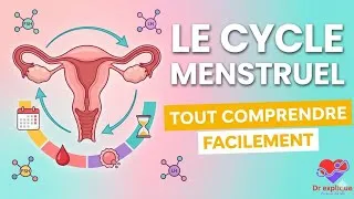 Miniature : Le Cycle Menstruel Expliqué Facilement | Hormones, Ovulation et Règles