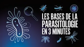 Miniature : Parasitologie : Introduction simple et complète pour débuter 🧫🦠