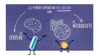 Miniature : Compléments alimentaires et santé mentale : cerveau et microbiote, le guide scientifique