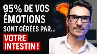 Miniature : Votre humeur est contrôlée par votre intestin (et personne ne vous l’a dit)