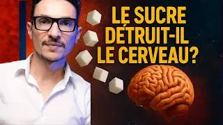 Miniature : Que fait le sucre sur notre cerveau?