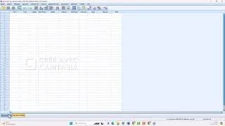 Miniature : Cours 1 Dr TOURE Analyse des données avec SPSS