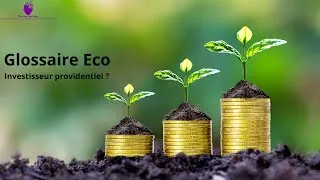 Miniature : Glossaire Eco : L'investisseur providentiel