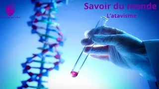 Miniature : Savoir du monde: l'atavisme