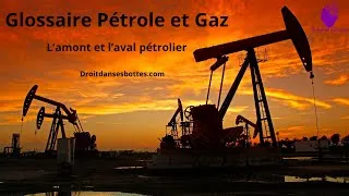 Miniature : Glossaire Pétrole et Gaz : L'amont et l'aval pétrolier
