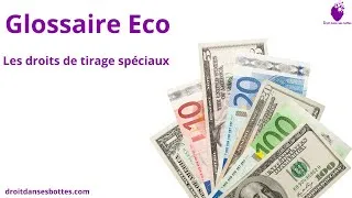 Miniature : Glossaire Eco : les droits de tirage spéciaux
