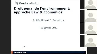 Miniature : Droit pénal de l'environnement : approche Law & Economics