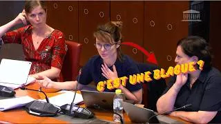 Miniature : Quand LFI propose aux terr*ristes de garder des enfants. 🤮