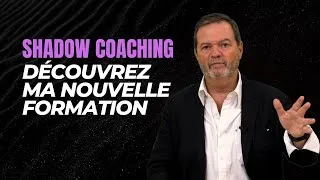 Miniature : SHADOW COACHING : TRANSFORMEZ VOS OMBRES EN LUMIERE !
